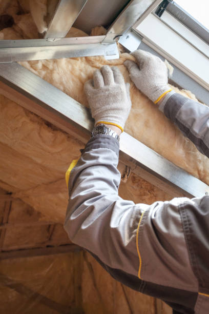 Best Attic Insulation Installation  in Lakeland Village, CA